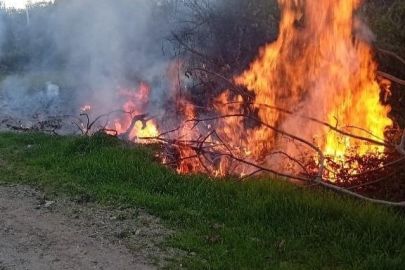 Muğla Milas’taki orman yangınları büyümeden söndürüldü