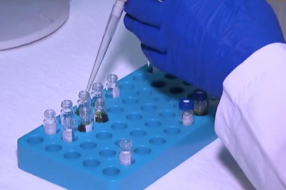 Pestisit kalıntılarının maksimum limitlerine ilişkin esaslar düzenlendi