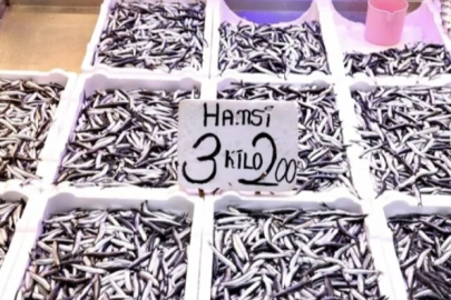 Trabzon balıkçıları: Hamsi bol, fiyatlar uygun