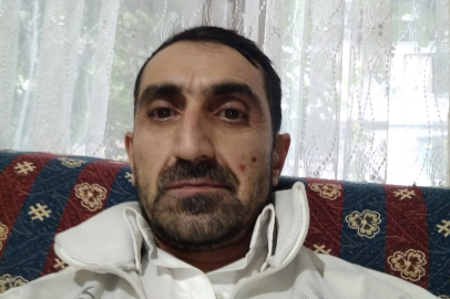 Bolu’da topladığı mantarları yiyen bir kişi zehirlendi