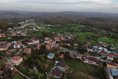 İstanbul Şile'de şap alarmı: 3 köy karantinada, 18 mahalle gözetim altında