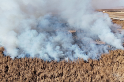 Konya'da sazlık alanda yangını
