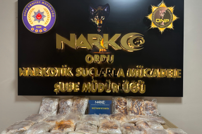 Ordu’da uyuşturucu operasyonlarında 2 tutuklama