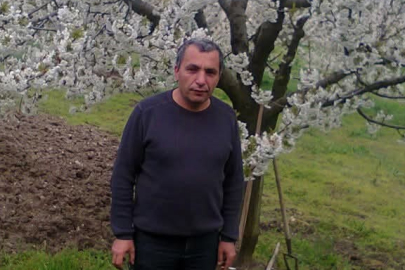 Bursa'da budadığı ağaçtan düşen adam hayatını kaybetti