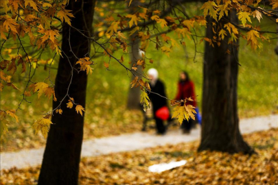 Bursa'ya yağmur ne zaman yağacak? Meteoroloji son durumu açıkladı! (19&nbsp;Kasım 2025 Hava Durumu)