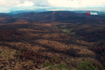 Bursa yeniden yeşerecek! İlk adım atıldı: 953 hektar...