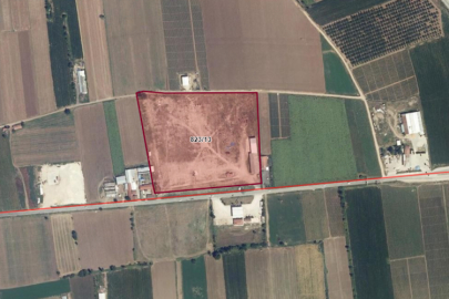 Bursa'da dev arsaya gelen teklif dudak uçuklattı!