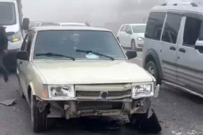 Siirt'te sis kazaya neden oldu: 3 koyun telef oldu