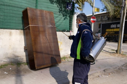 İzmir'de karasinek istilası: Şehir dört koldan ilaçlanıyor! Uzman isim uyardı!