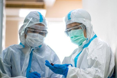 Kuş gribi alarmı: H5N5 virüsü dünyada ilk kez can aldı!