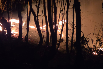 Ordu'da çıkan örtü yangınına müdahale ediliyor