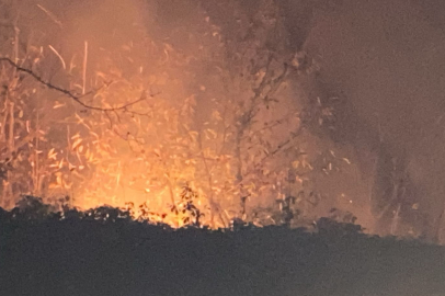 Trabzon'da çıkan örtü yangını kontrol altına alındı