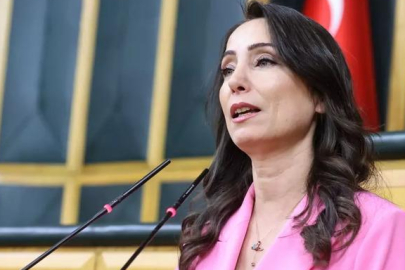 İmralı'da ne konuşuldu? DEM Parti'den ilk açıklama