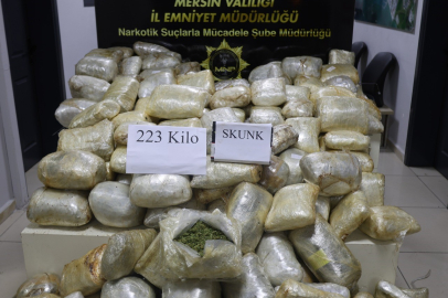 Mersin'de yurtdışından gelen tırda 223 kilo uyuşturucu ele geçirildi: 1 tutuklama
