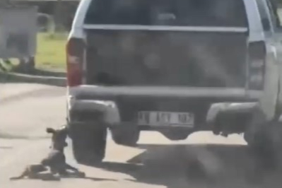 Muğla'da araçla metrelerce sürüklenen köpek telef oldu: 2 gözaltı