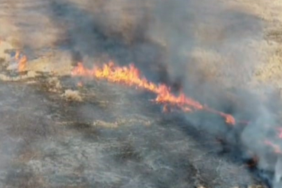 Van’da sazlık yangını