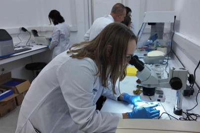 Bursa’da tardigrad devrimi: Aşırı şartlara dayanıklı canlılardan yeni teknolojiler