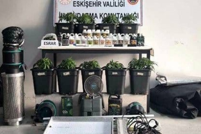 Eskişehir'de iklimlendirme sistemi kurup kenevir yetiştiren 3 kişi yakalandı