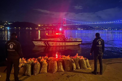 Yaklaşık 2,5 ton canlı midye ele geçirildi