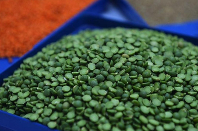 Yeşil mercimek ve yulaf ithalatında gümrük vergileri indirildi