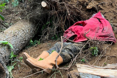Trabzon'da kestiği ağacın altında kalan bir kişi hayatını kaybetti