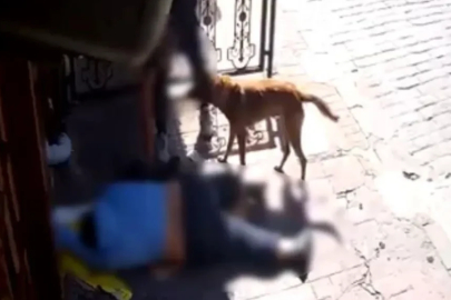 Vicdanları yaralayan olay! Sokak ortasında sara nöbeti geçirdi gasp edildi