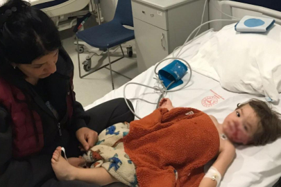 Ankara'da iki kardeşe saldıran pitbull ve sahibi yakalandı