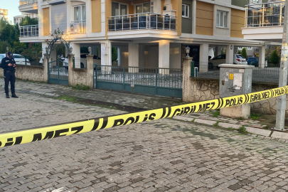 Aydın'da silahlı kavga: 1 yaralı