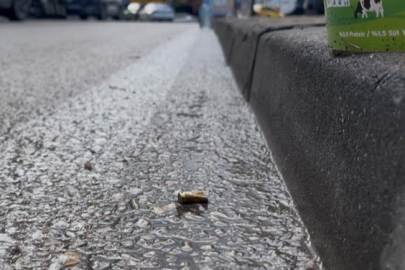 Bursa'da pizzacıya kurşun yağmuru! Art arda tetiğe bastı...