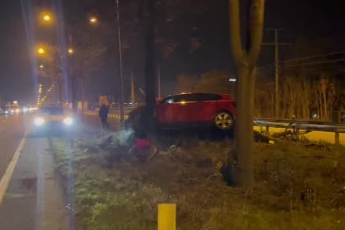 Eskişehir'de kontrolden çıkan araç ağacın üzerine çıktı: 1 ağır yaralı