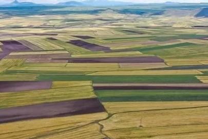 Arsa vaadiyle 40 milyonluk dev vurgun! Soyup soğana çevirdiler...