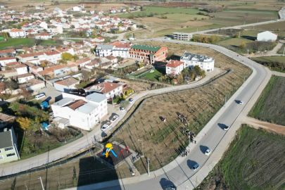 Bursa'ya 572 fidanlı yeni koruluk