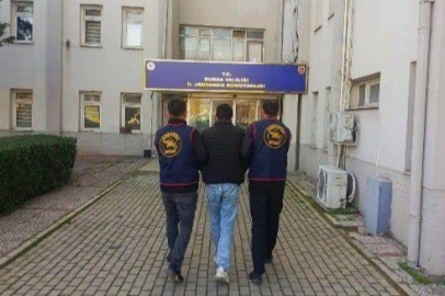 Bursa'da 1 milyon TL'lik tiny house hırsızlığı! Tutuklandı...