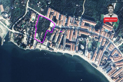 Bursa'da deniz kenarındaki zeytinlikler hakkında imar kararı!