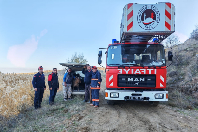 Çorum'da uçurumda mahsur kalan keçileri itfaiye kurtardı