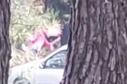 İzmir’de bir kadın ormanlık alanda darbedildi