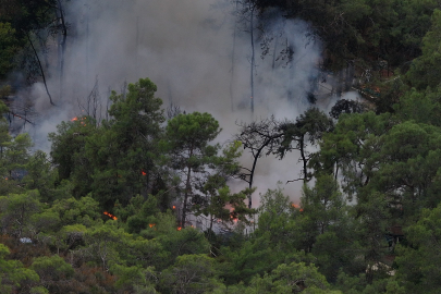 Muğla Fethiye’de karavanda çıkan yangın ormana sıçradı