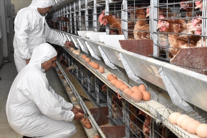 Sektör devi şirket mali darboğazda! Konkordato ilan etti...