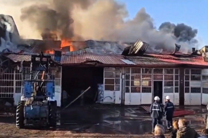 Bitlis Tatvan’da kereste dükkanında yangın