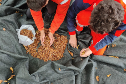 Bursa Harmancık’ta yanan ormanlara tohumlar serpiliyor
