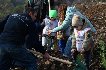Bursa Karacabey’de yangın sonrası ilk fidanlar toprakla buluştu