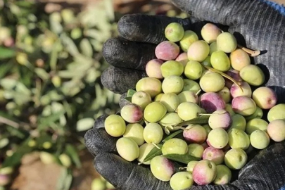 Bursa'nın dev markası Marmarabirlik’ten 622 milyon TL’lik ödeme