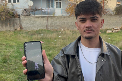 Eskişehir'de boş arsada 8 ölü kedi bulundu