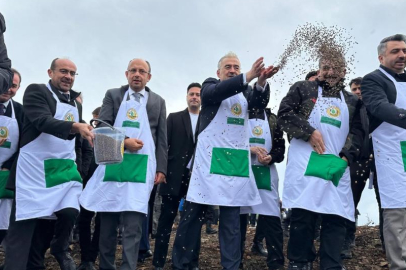 Bursa Harmancık'ta yanan 4 bin 256 hektar alan ağaçlandırılıyor