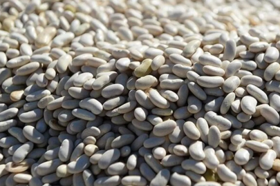 Kuru fasulye bulunamayacak mı? DMM'den açıklama geldi