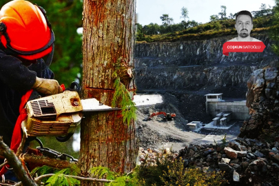 Tamamı orman alanı: Onay çıkarsa Bursa'da ağaçlar kesilecek!