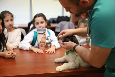 Bursa'da minik veterinerler görev başında