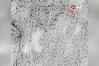 Bursa'nın zirvesinde kar yağışı etkili oldu!