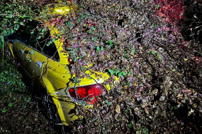 Mersin'de sürücüsünün içinde olduğu otomobilin üzerine ağaç devrildi