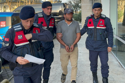 Samsun'da ağaç kesimi sırasında komşusunun ölümüne sebep olan şahıs tutuklandı